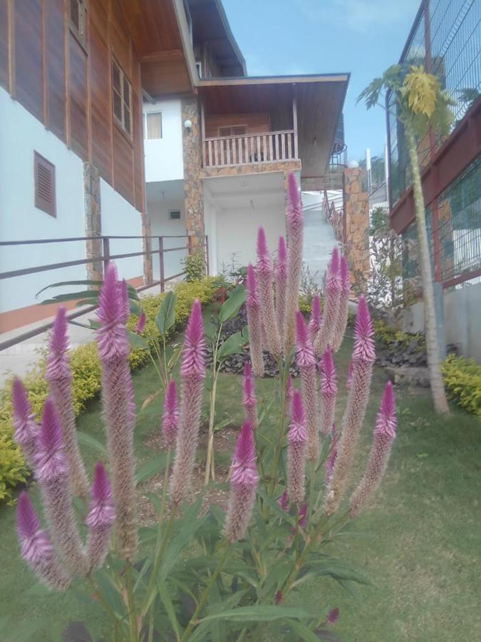 Domus Guesthouse Santana Kültér fotó